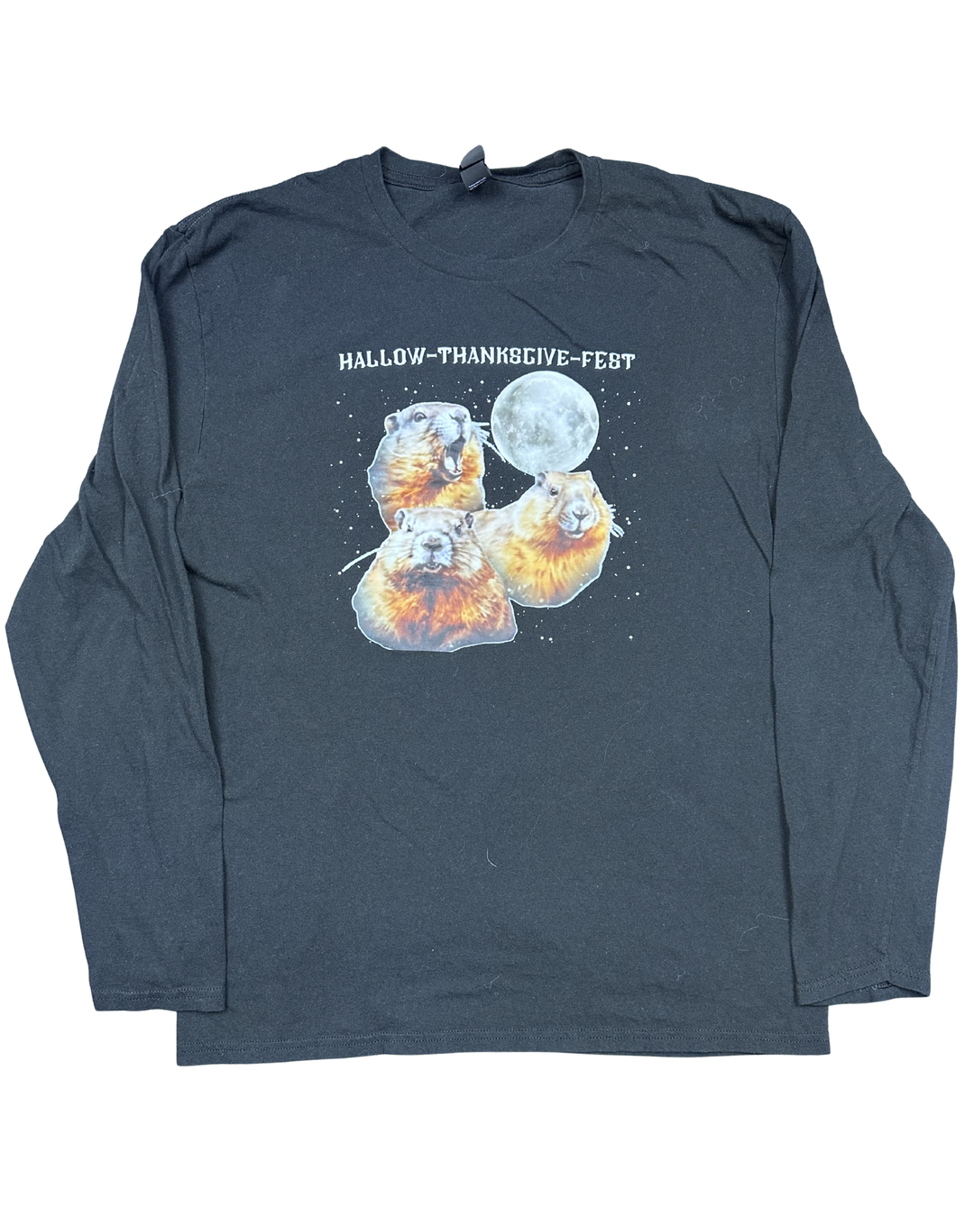 Hallow-Thanksgivefest Dathouse Graphic Long Sleeve T-Shirt (XL)