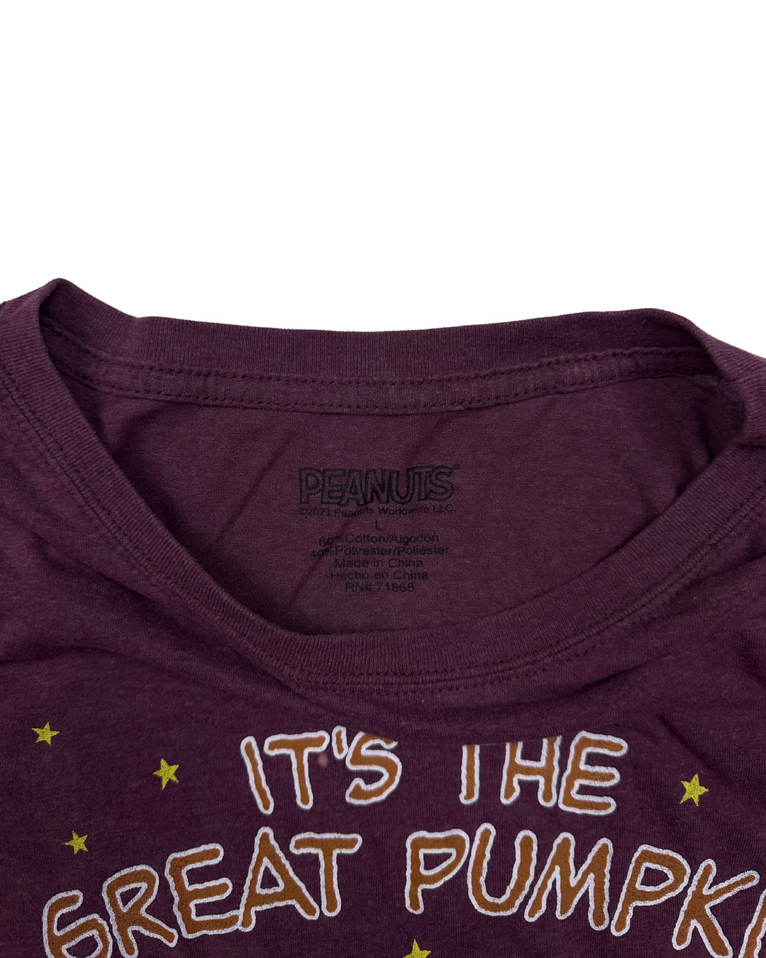 Peanuts It's the Great Pumpkin Graphic T-Shirt (large)