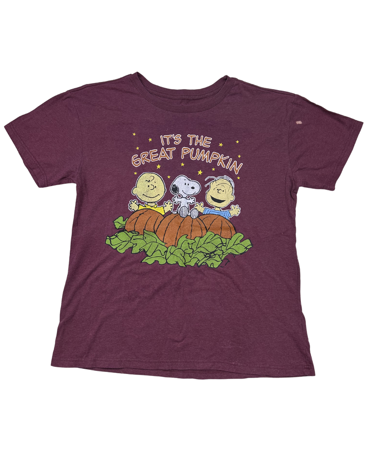 Peanuts It's the Great Pumpkin Graphic T-Shirt (large)