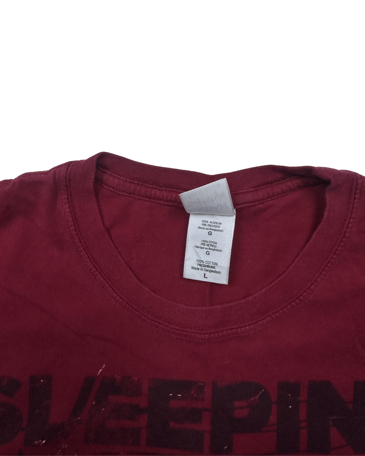 Sleeping with Sirens Concert Photo Graphic T-Shirt (large)