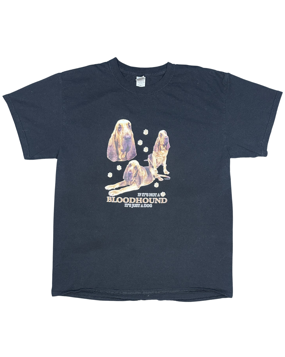 "If It's Not a Bloodhound It's Just a Dog" Novelty Graphic T-Shirt (Large)