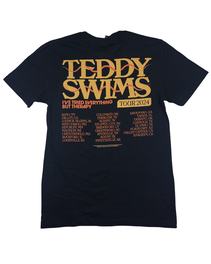 Teddy Swims I've Tried Everything But Therapy Tour 2024 Graphic T-Shirt (Medium)