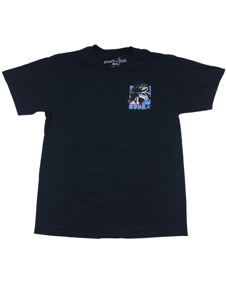 Attack on Titan Final Season Graphic T-Shirt (large)
