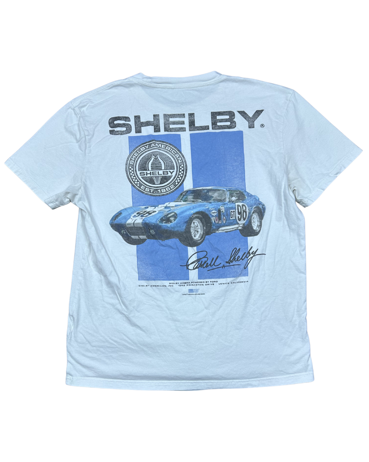 Hollister Shelby American Graphic T-Shirt (Medium)
