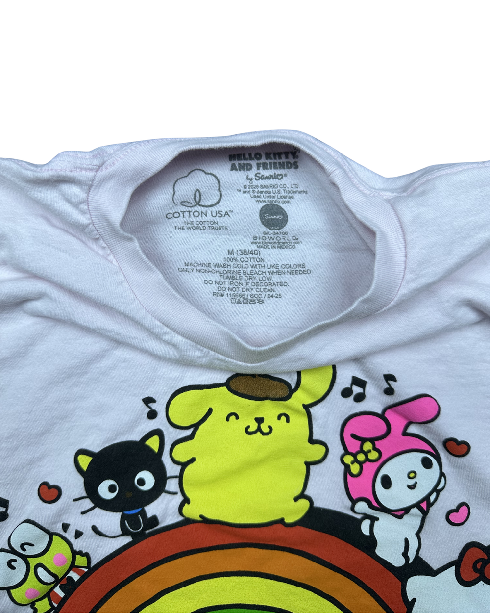 Sanrio Hello Kitty and Friends Rainbow Graphic T-Shirt (Medium)