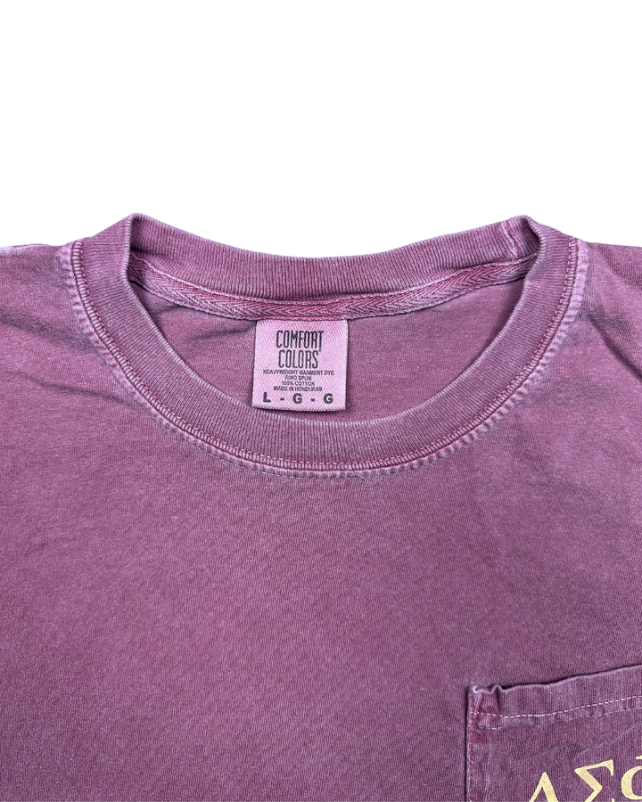 Comfort Colors Alpha Sigma Phi Splash N' Bash Pocket T-Shirt (Large)