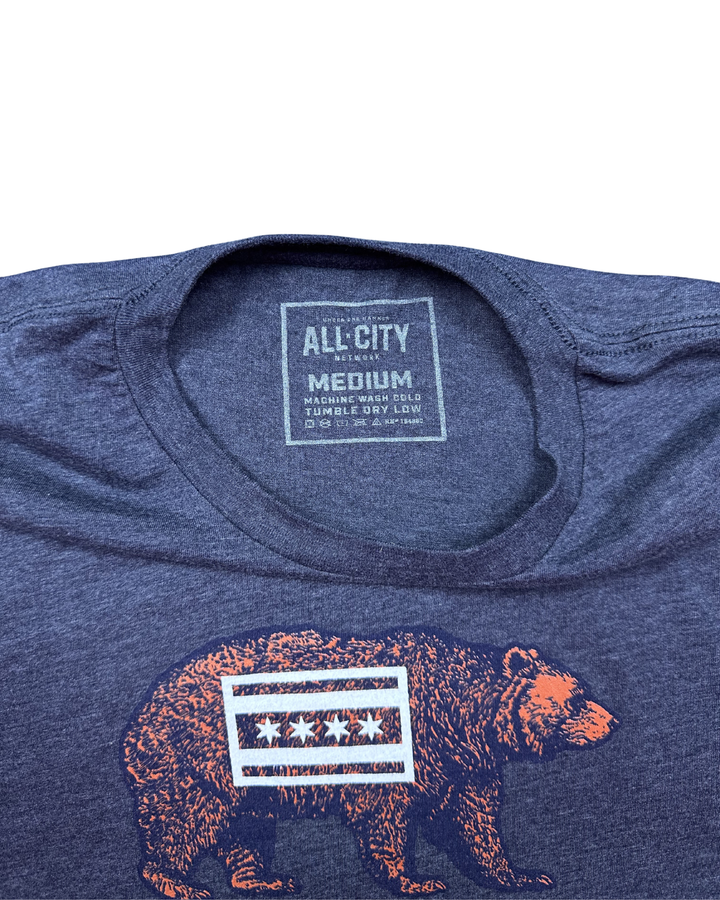 All-City Chicago Flag Bear T-Shirt (Medium)